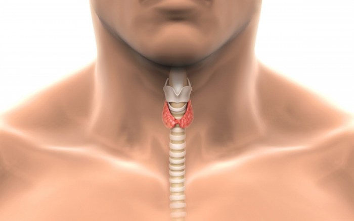 Thyroid treatment