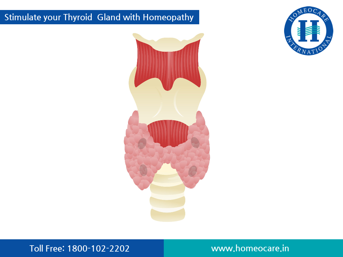 Thyroid Treatment in Homeopathy