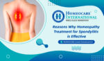 <strong>Homeopathy Treatment for Spondylitis</strong>